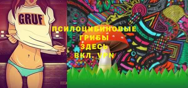 метамфетамин Белокуриха