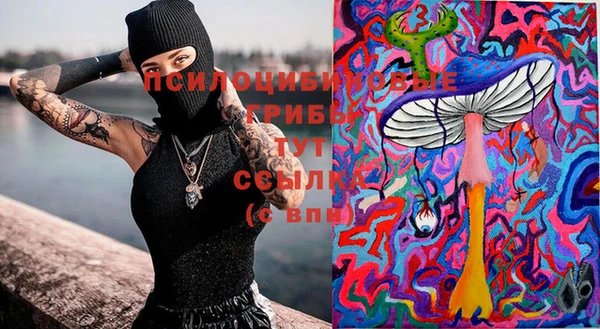 метамфетамин Белокуриха