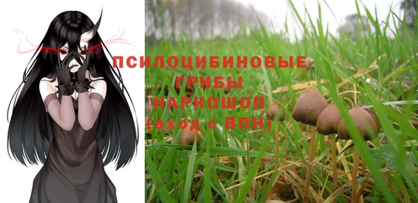 метамфетамин Белокуриха
