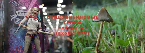 метадон Беломорск