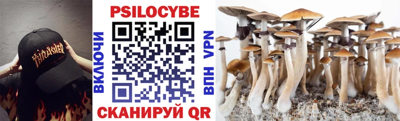 Псилоцибиновые грибы Psilocybe  наркота  Нарткала 